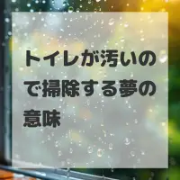 トイレが汚いので掃除する夢のサムネイル画像