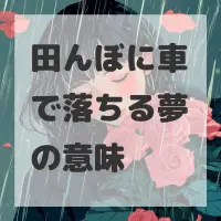 田んぼに車で落ちる夢のサムネイル画像