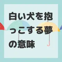 白い犬を抱っこする夢のサムネイル画像