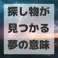 探し物が見つかる夢のサムネイル画像