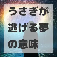 うさぎが逃げる夢のサムネイル画像