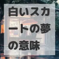 白いスカートの夢のサムネイル画像
