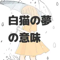 白猫の夢のサムネイル画像