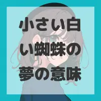小さい白い蜘蛛の夢のサムネイル画像