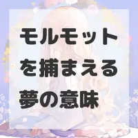 モルモットを捕まえる夢のサムネイル画像