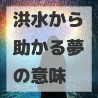 洪水から助かる夢のサムネイル画像