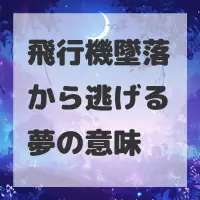 飛行機墜落から逃げる夢のサムネイル画像