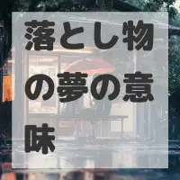 落とし物の夢のサムネイル画像