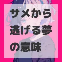 サメから逃げる夢のサムネイル画像