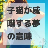 子猫が威嚇する夢のサムネイル画像