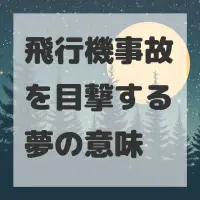 飛行機事故を目撃する夢のサムネイル画像
