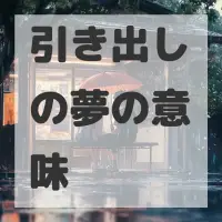 引き出しの夢のサムネイル画像