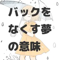 バックをなくす夢のサムネイル画像