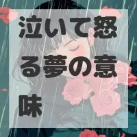 泣いて怒る夢のサムネイル画像
