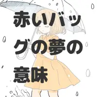 赤いバッグの夢のサムネイル画像
