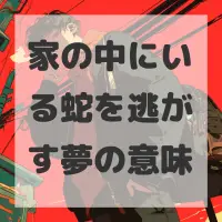 家の中にいる蛇を逃がす夢のサムネイル画像