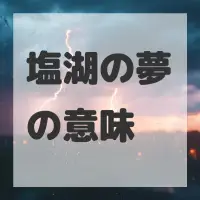 塩湖の夢のサムネイル画像