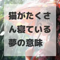 猫がたくさん寝ている夢のサムネイル画像