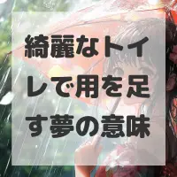 綺麗なトイレで用を足す夢のサムネイル画像