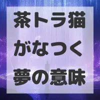 茶トラ猫がなつく夢のサムネイル画像