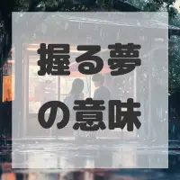 握る夢のサムネイル画像