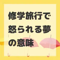 修学旅行で怒られる夢のサムネイル画像