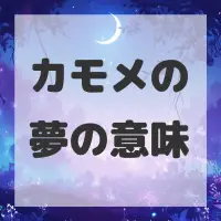 カモメの夢のサムネイル画像