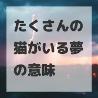 たくさんの猫がいる夢のサムネイル画像