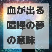 血が出る喧嘩の夢のサムネイル画像