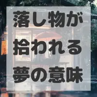 落し物が拾われる夢のサムネイル画像