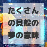 たくさんの貝殻の夢のサムネイル画像