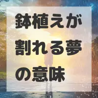 鉢植えが割れる夢のサムネイル画像