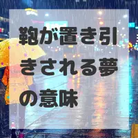 鞄が置き引きされる夢のサムネイル画像