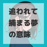 追われて捕まる夢のサムネイル画像