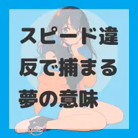 スピード違反で捕まる夢のサムネイル画像