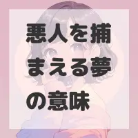 悪人を捕まえる夢のサムネイル画像