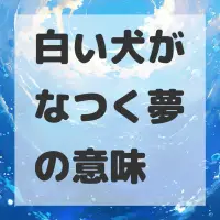 白い犬がなつく夢のサムネイル画像