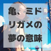 亀、ミドリガメの夢のサムネイル画像