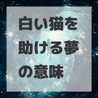 白い猫を助ける夢のサムネイル画像