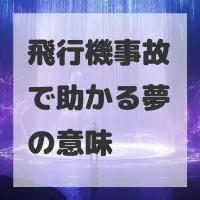 飛行機事故で助かる夢のサムネイル画像