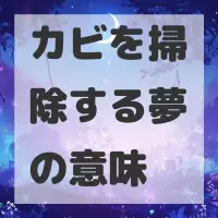 カビを掃除する夢のサムネイル画像