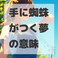 手に蜘蛛がつく夢のサムネイル画像