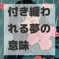 付き纏われる夢のサムネイル画像