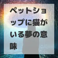 ペットショップに猫がいる夢のサムネイル画像