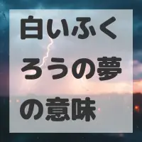 白いふくろうの夢のサムネイル画像