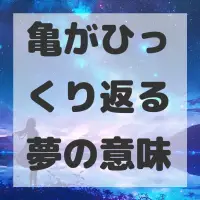 亀がひっくり返る夢のサムネイル画像