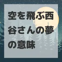 空を飛ぶ西谷さんの夢のサムネイル画像