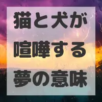 猫と犬が喧嘩する夢のサムネイル画像