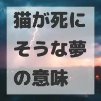 猫が死にそうな夢のサムネイル画像