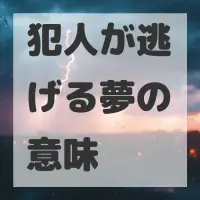 犯人が逃げる夢のサムネイル画像